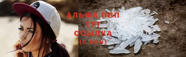 сатива Лабытнанги