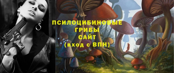 скорость Лагань