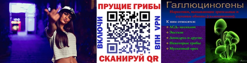 mega   наркота  Хилок  Галлюциногенные грибы MAGIC MUSHROOMS 